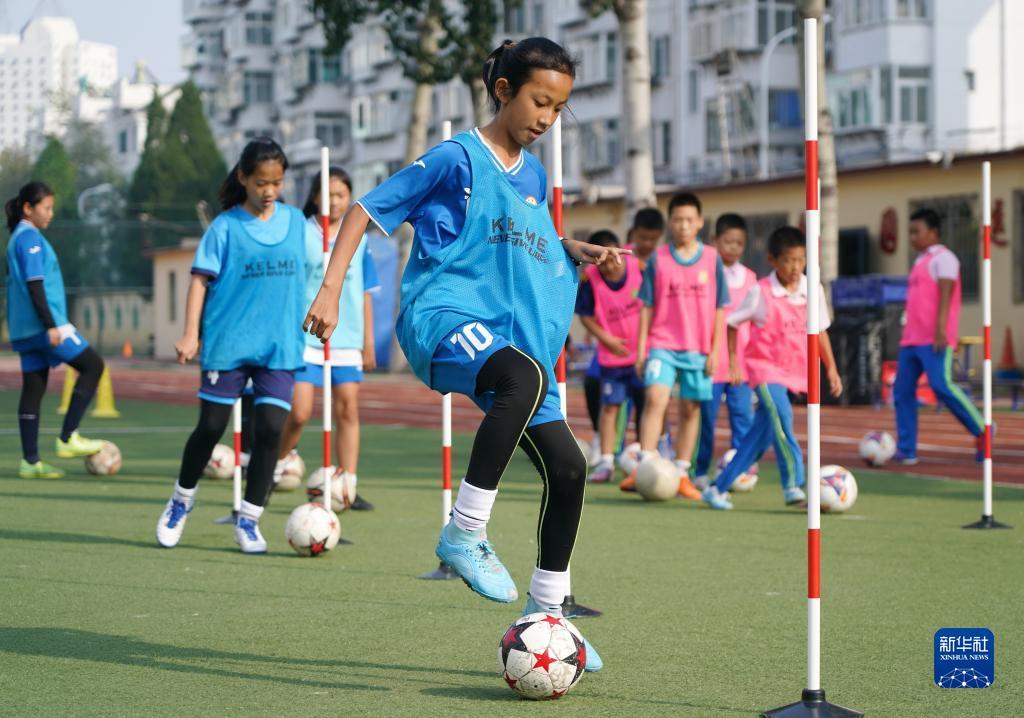 百家什乐鲨鱼分析软件